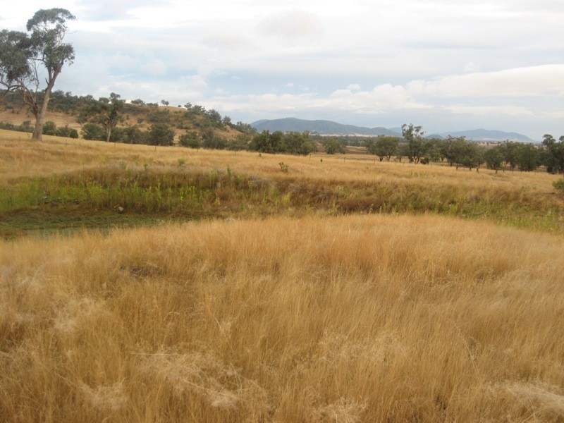 Limerock, Carroll NSW 2340