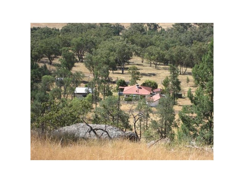 ” Springmount”, Carroll NSW 2340