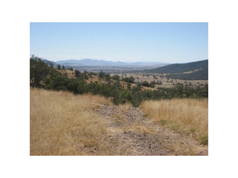 ” Springmount”, Carroll NSW 2340