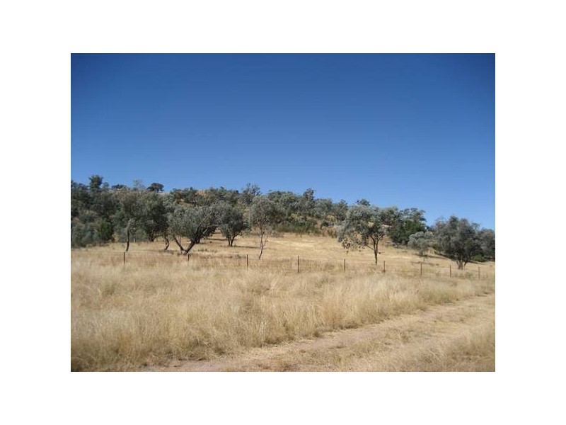 ” Springmount”, Carroll NSW 2340