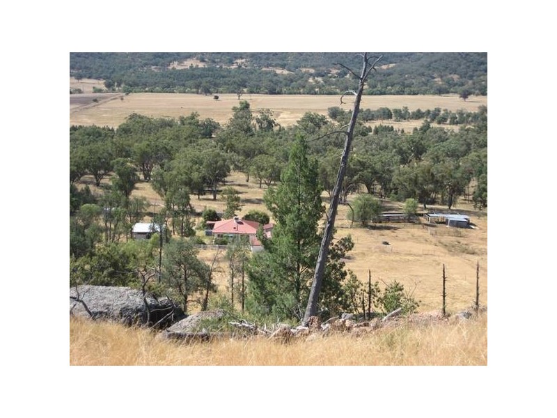 ” Springmount”, Carroll NSW 2340