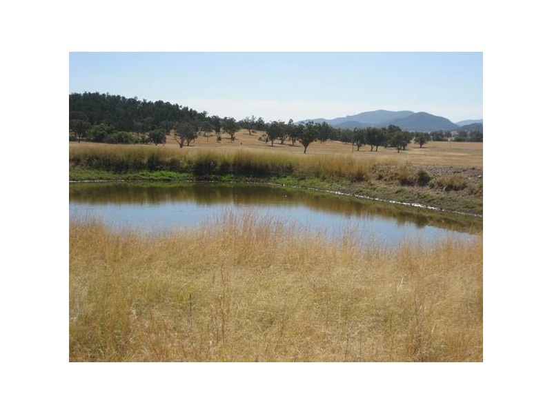 ” Springmount”, Carroll NSW 2340