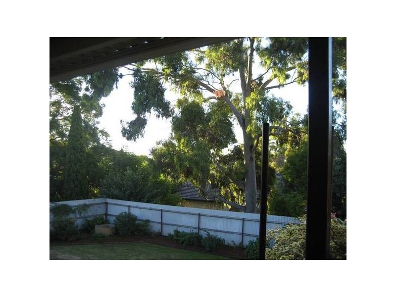 7 Kirkpatrick Close, Gunnedah NSW 2380