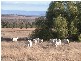 ” Tullah Brae”, Curlewis NSW 2381