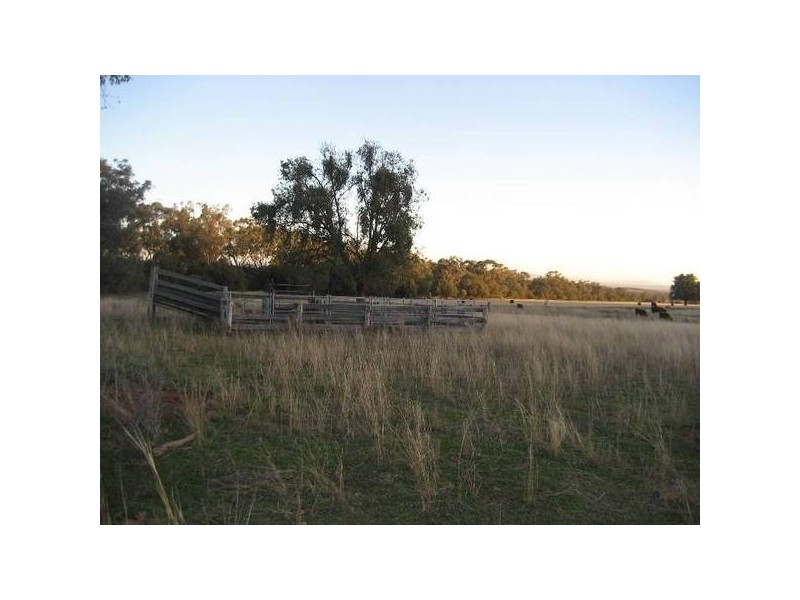 ” Tullah Brae”, Curlewis NSW 2381
