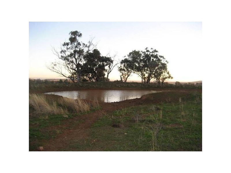 ” Tullah Brae”, Curlewis NSW 2381