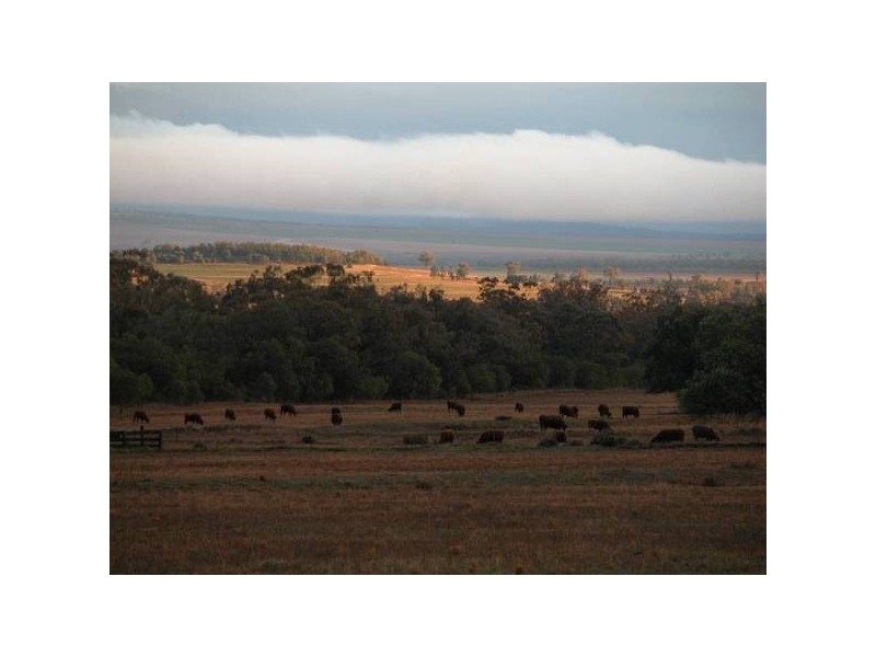 ” Tullah Brae”, Curlewis NSW 2381