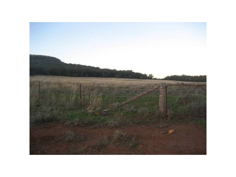 ” Tullah Brae”, Curlewis NSW 2381