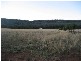 ” Tullah Brae”, Curlewis NSW 2381