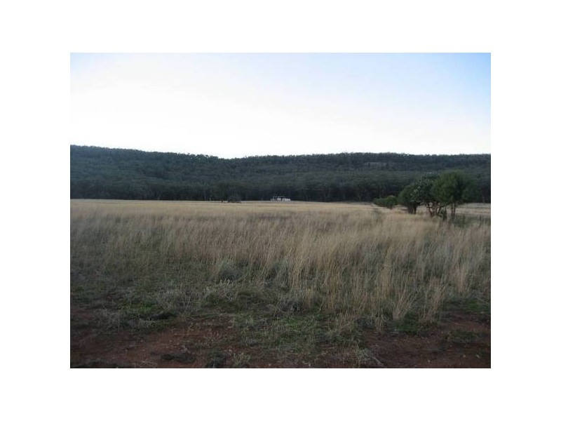 ” Tullah Brae”, Curlewis NSW 2381