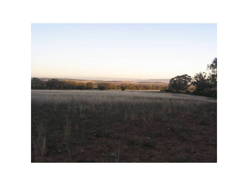 ” Tullah Brae”, Curlewis NSW 2381