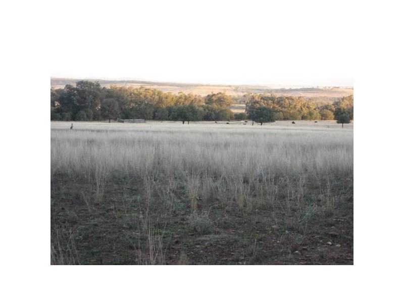 ” Tullah Brae”, Curlewis NSW 2381