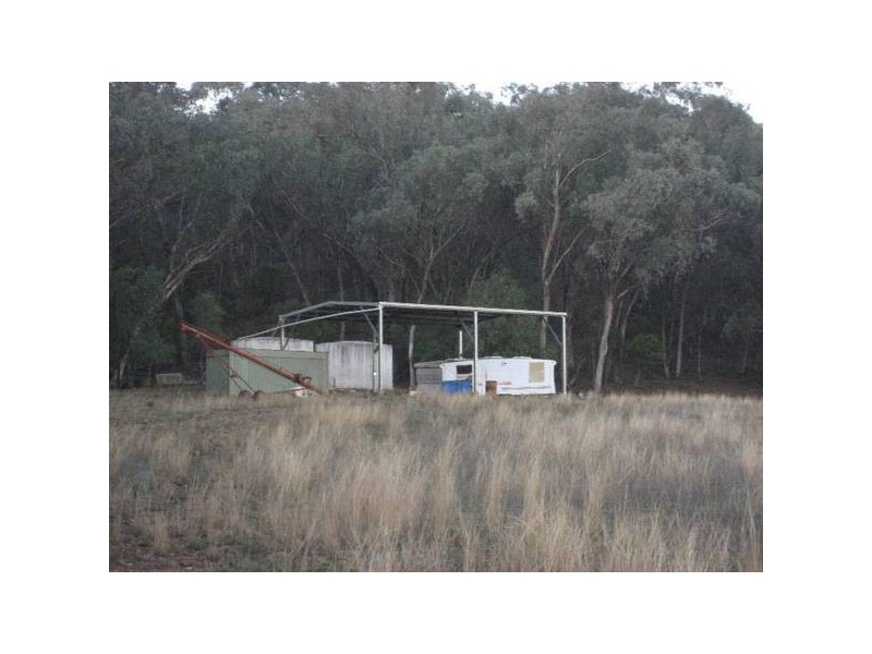 ” Tullah Brae”, Curlewis NSW 2381