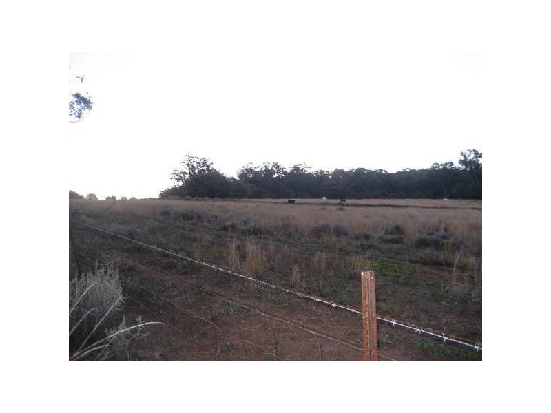 ” Tullah Brae”, Curlewis NSW 2381