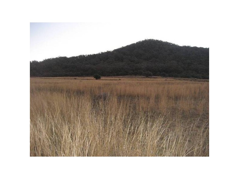 ” Tullah Brae”, Curlewis NSW 2381