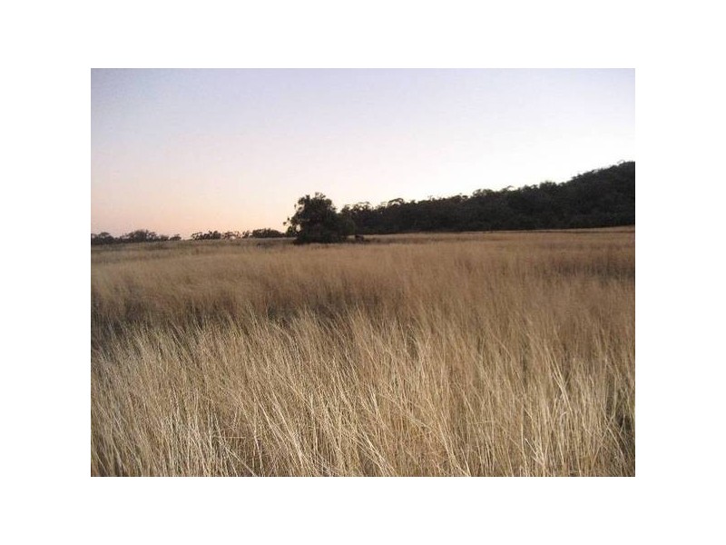 ” Tullah Brae”, Curlewis NSW 2381