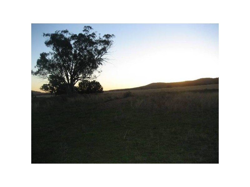 ” Tullah Brae”, Curlewis NSW 2381