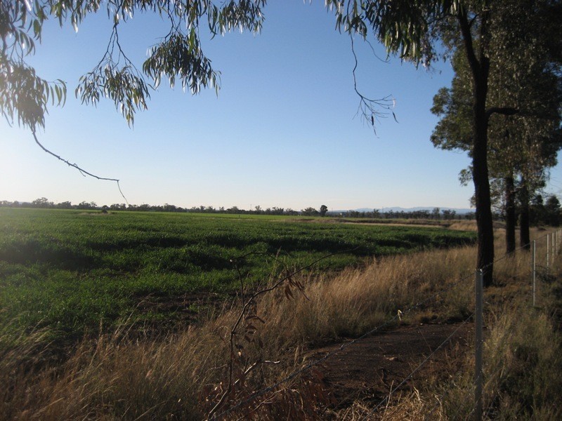 216 Blackjack Road, Gunnedah NSW 2380