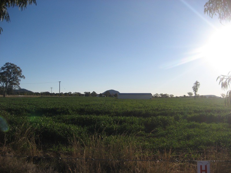 216 Blackjack Road, Gunnedah NSW 2380
