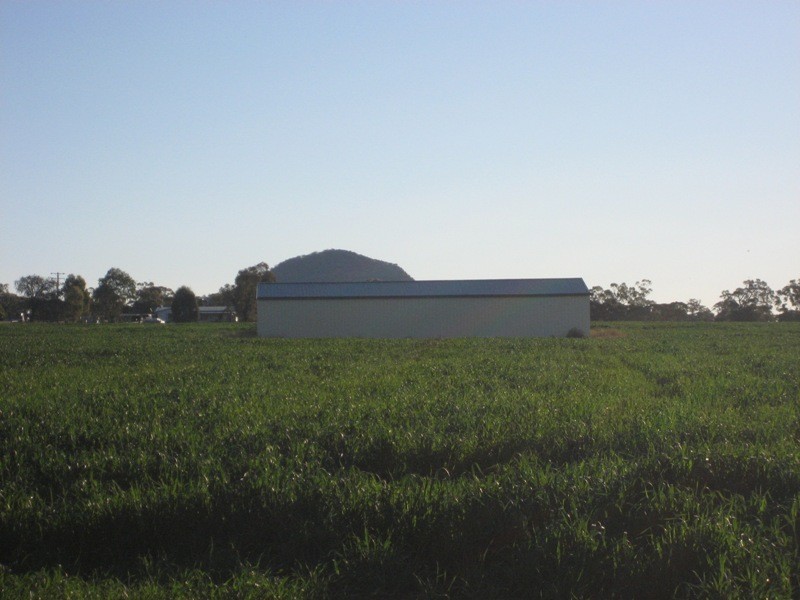 216 Blackjack Road, Gunnedah NSW 2380