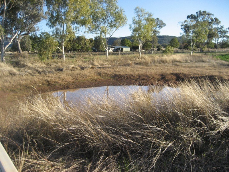 216 Blackjack Road, Gunnedah NSW 2380