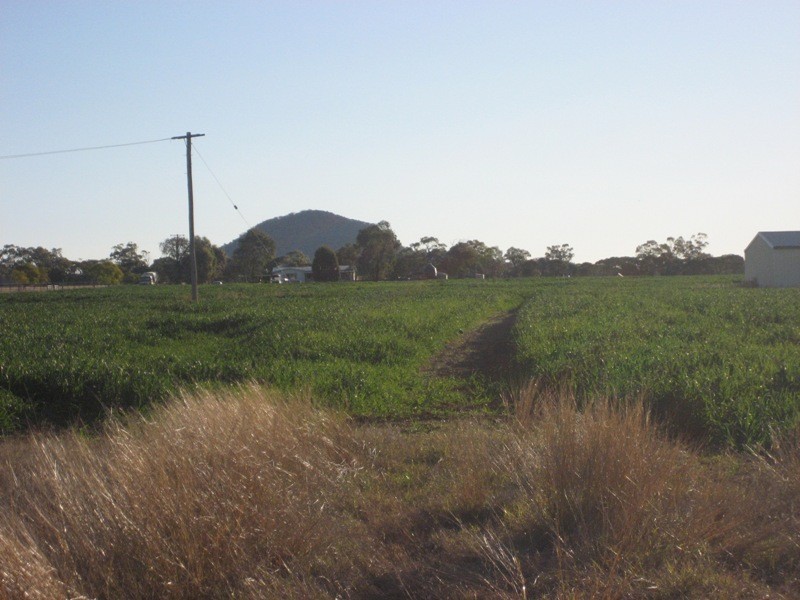 216 Blackjack Road, Gunnedah NSW 2380