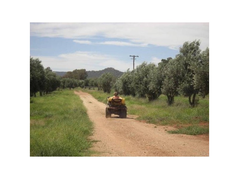 ” Barrabinda” Quia Road, Gunnedah NSW 2380