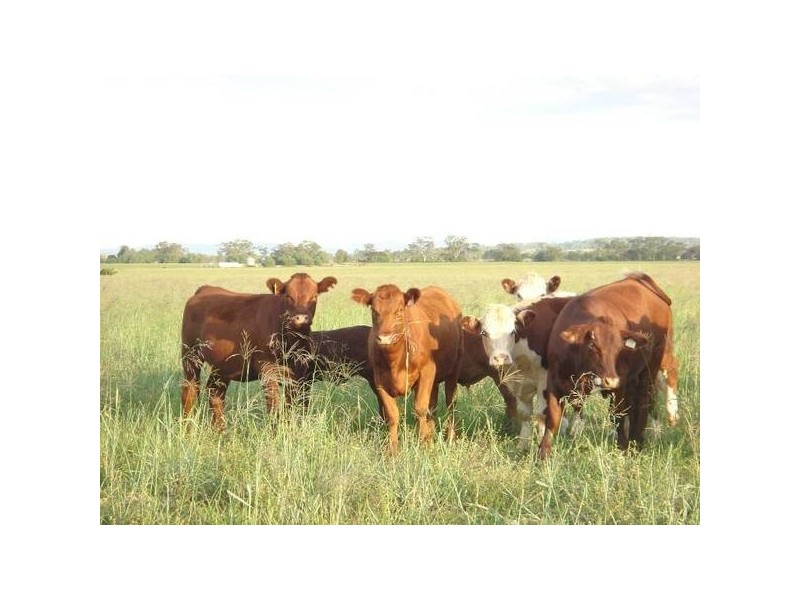 ” Barrabinda” Quia Road, Gunnedah NSW 2380
