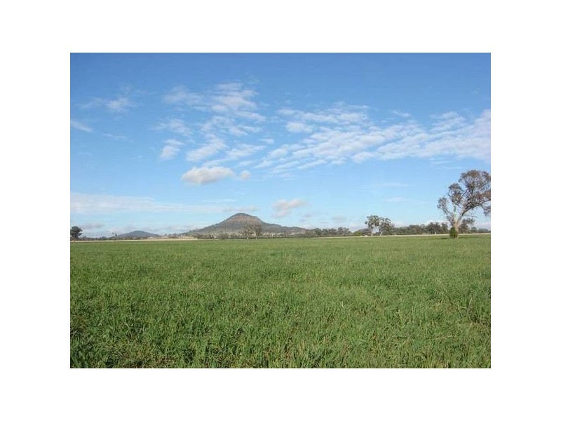 ” Barrabinda” Quia Road, Gunnedah NSW 2380