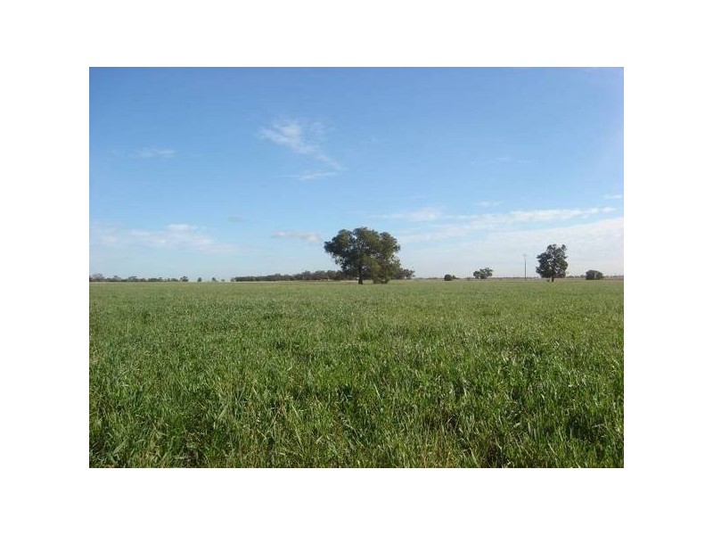 ” Barrabinda” Quia Road, Gunnedah NSW 2380