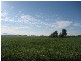 ” Barrabinda” Quia Road, Gunnedah NSW 2380