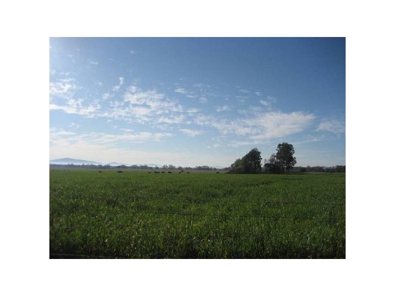 ” Barrabinda” Quia Road, Gunnedah NSW 2380