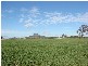 ” Barrabinda” Quia Road, Gunnedah NSW 2380