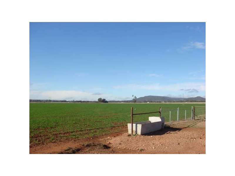 ” Barrabinda” Quia Road, Gunnedah NSW 2380