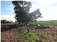686 Quia Road, Gunnedah NSW 2380