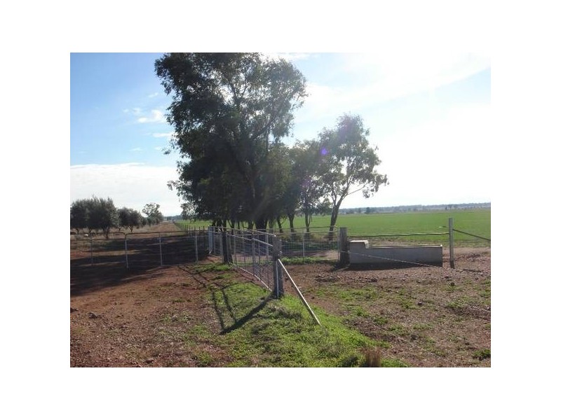 686 Quia Road, Gunnedah NSW 2380