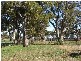 686 Quia Road, Gunnedah NSW 2380