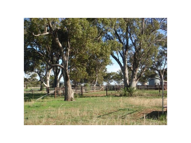 686 Quia Road, Gunnedah NSW 2380