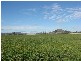 686 Quia Road, Gunnedah NSW 2380