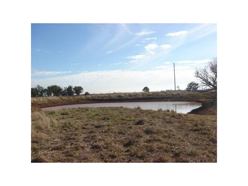 686 Quia Road, Gunnedah NSW 2380
