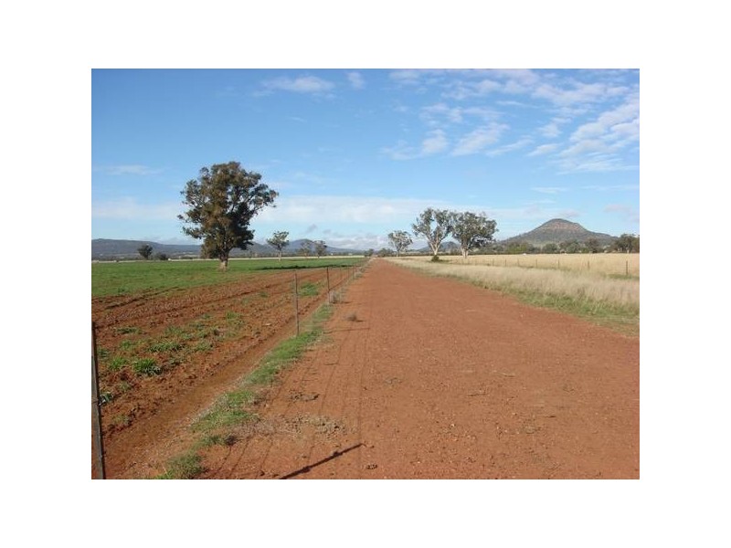 686 Quia Road, Gunnedah NSW 2380