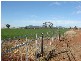 686 Quia Road, Gunnedah NSW 2380