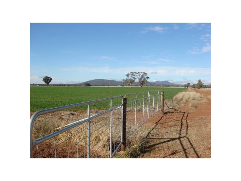 686 Quia Road, Gunnedah NSW 2380