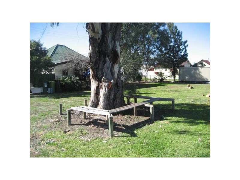 19 Little Barber, Gunnedah NSW 2380