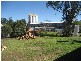 19 Little Barber, Gunnedah NSW 2380