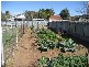 19 Little Barber, Gunnedah NSW 2380