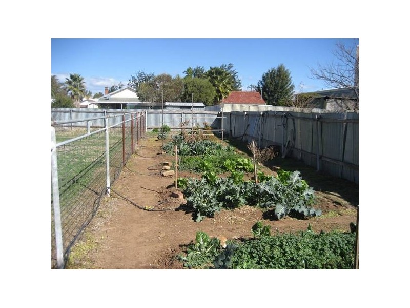 19 Little Barber, Gunnedah NSW 2380
