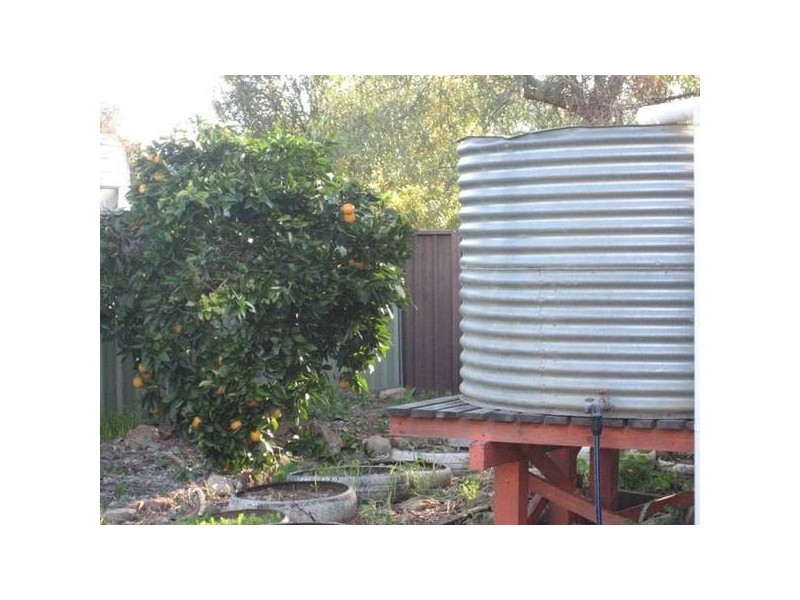 6 Herbert Street, Gunnedah NSW 2380