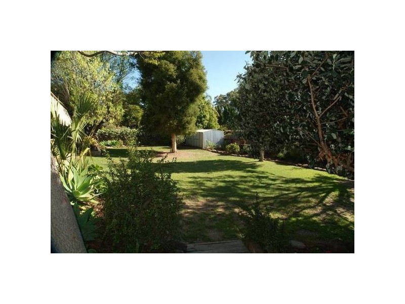 3 Anderson Place, Gunnedah NSW 2380