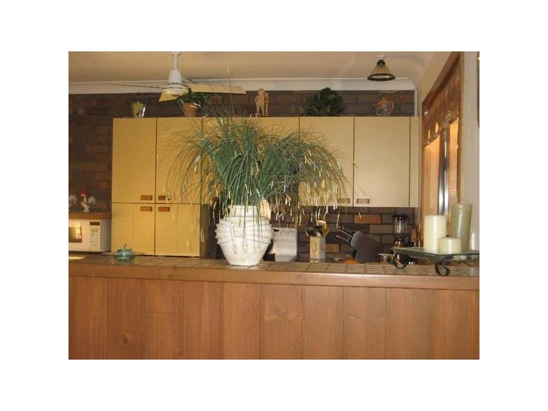 3 Anderson Place, Gunnedah NSW 2380